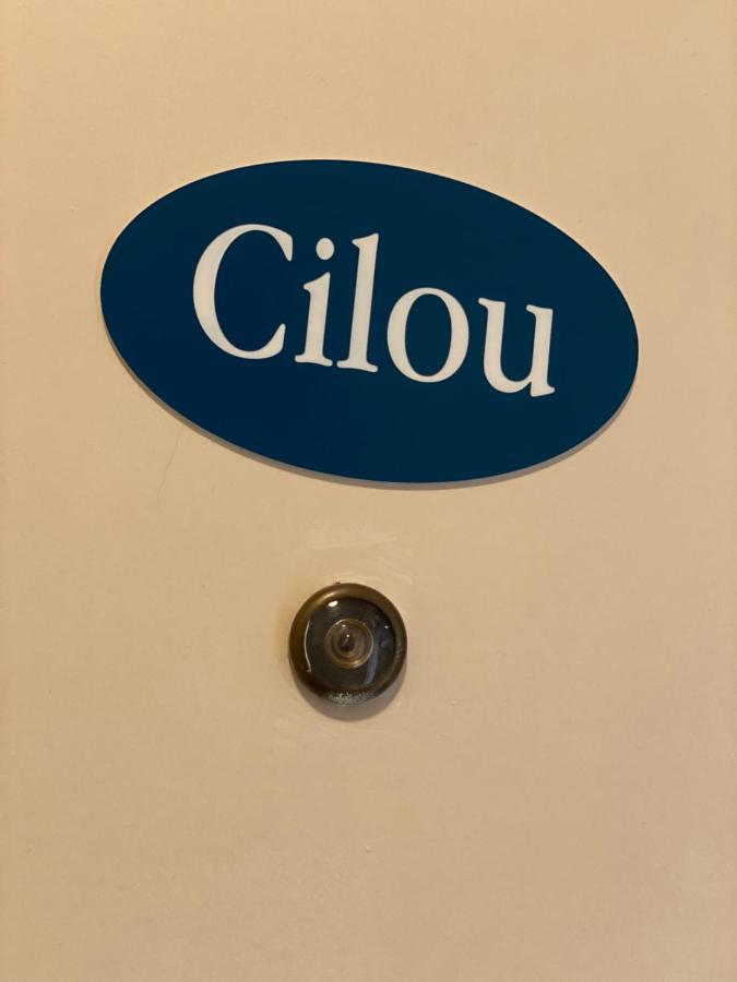 Cilou Apartment De Haan